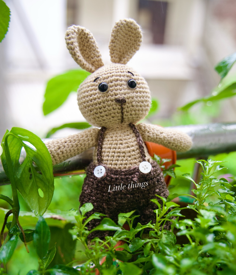 Handmade Crochet Bunny Plush Toy – “Little Things” Collection